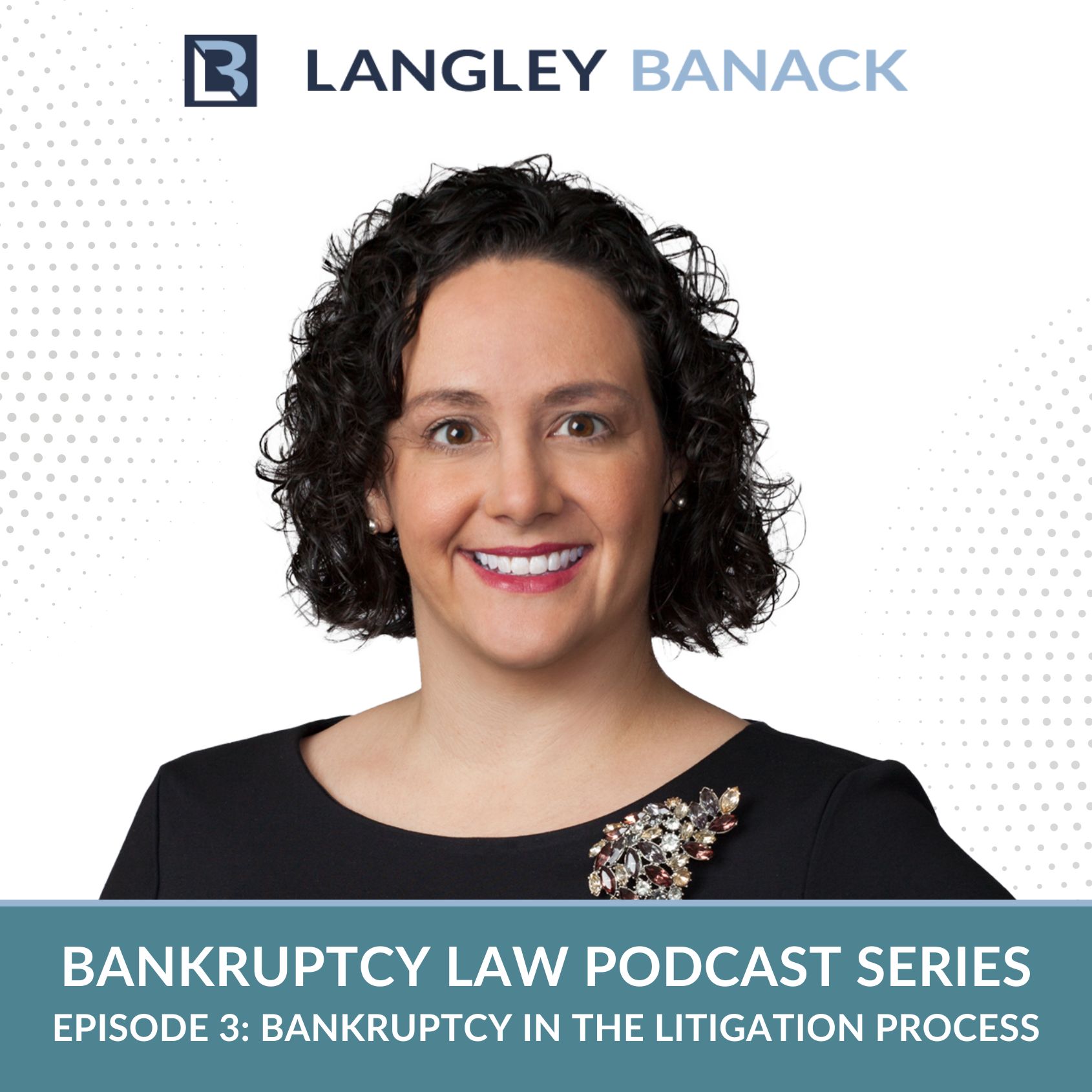 Bankruptcy Law Part 3: Bankruptcy in the Litigation Process